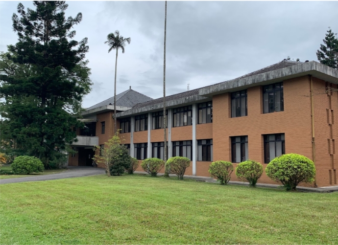 黃樓Yellow Building(1961)