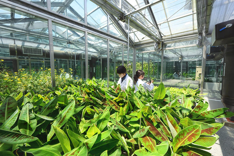 研究大樓Research Building