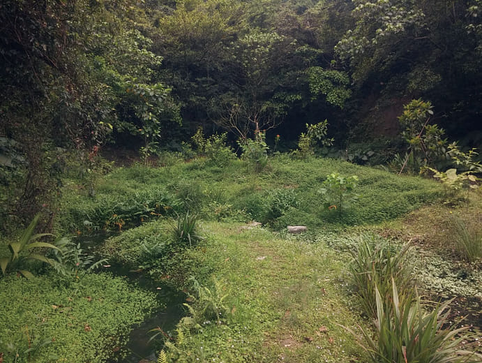 生態保育及人工濕地復育 Ecological Conservation and Artificial Wetland Restoration