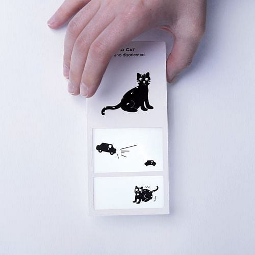 生物卡細節拍攝