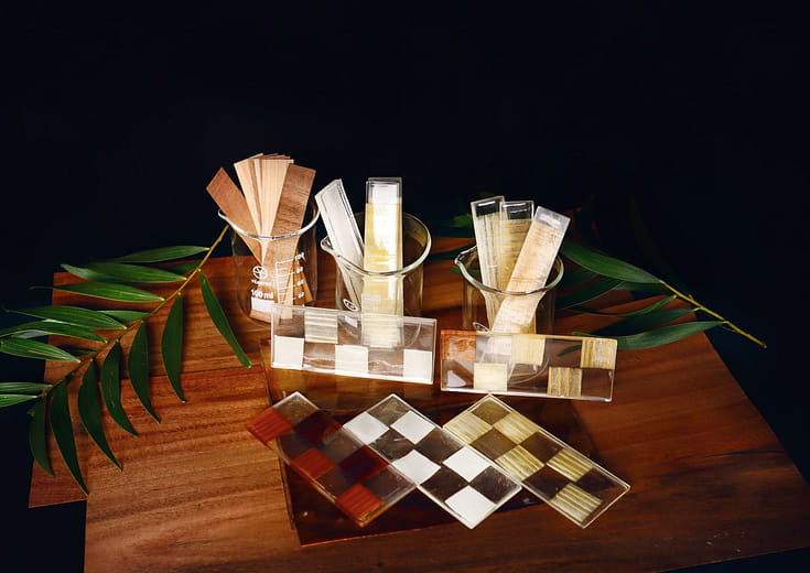 拾光木-透光國產木材之製作與研究 - Translucent Wood - Manufacturing and Research