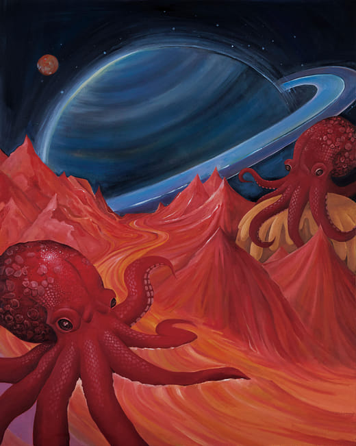 八爪探尋系列二