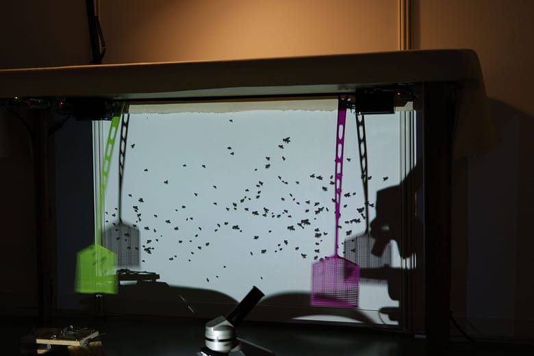 ㄘㄧㄤㄥˊ。ㄌㄕㄠㄨˇ。ㄣㄖˊ