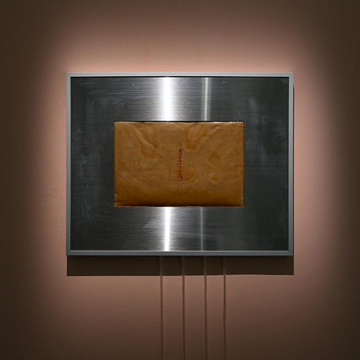 菌母，黃湯－菌制約 010 Scoby skin, yellow soup – Containmination 010