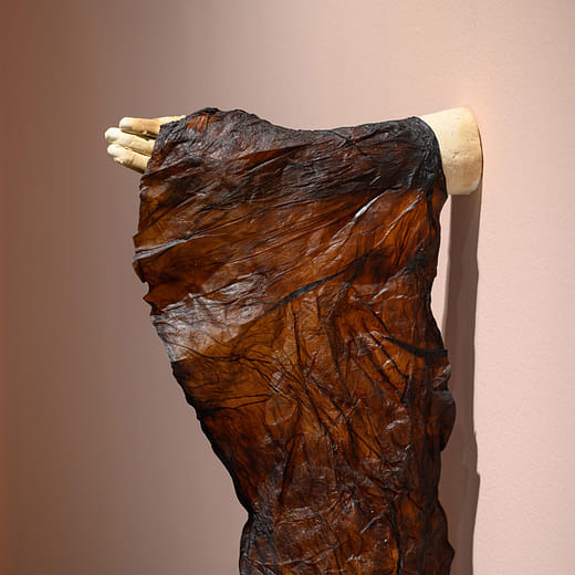 菌母，黃湯－被動的觸碰 Scoby skin, yellow soup - Touched