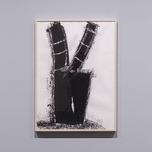 生命之樹 Tree of Life