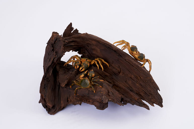 皮塑螃蟹Leather Sculpted Crab
