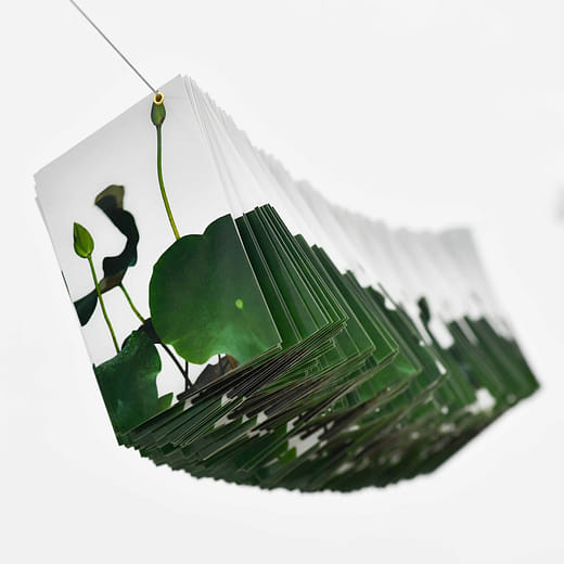 微小但三百九十次的變化