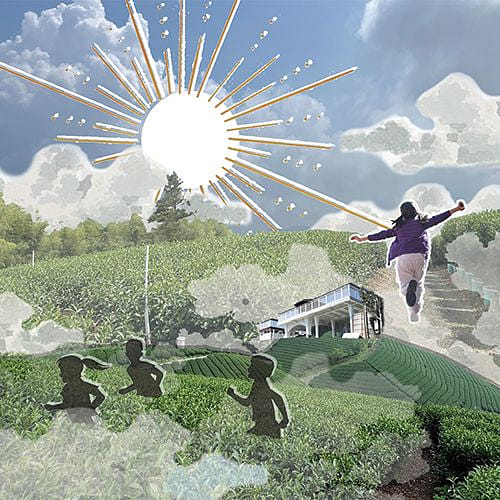 高山茶感知序曲 , Perception Prelude of Alpine Tea