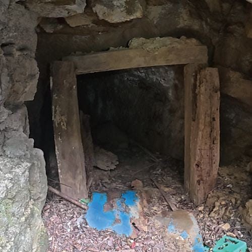 東線無戰事 , All Quiet on the East Front