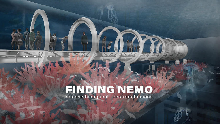 尋找尼莫-Finding Nemo