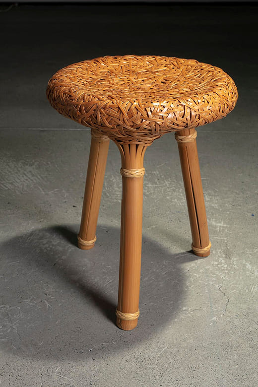 歇（生命演化） Rest (Evolution of life)