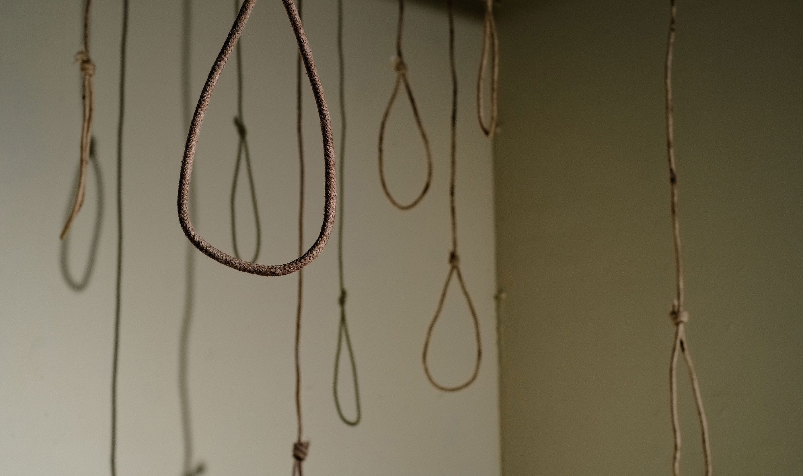 關於那些曾經活著的