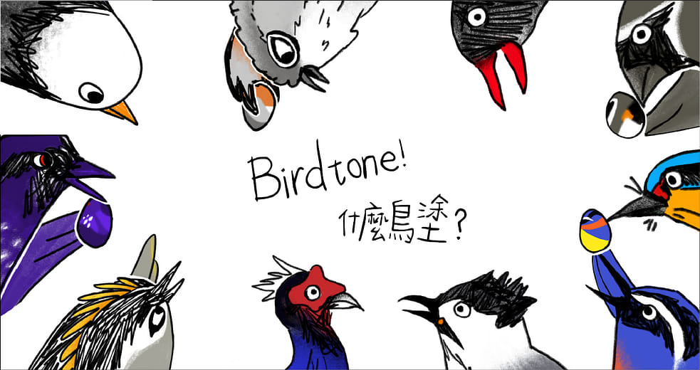 Birdtone！什麼鳥塗？ - Birdtone！
