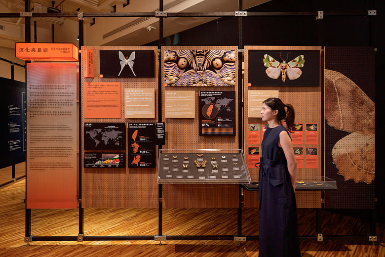 第二章〈演化與島嶼〉