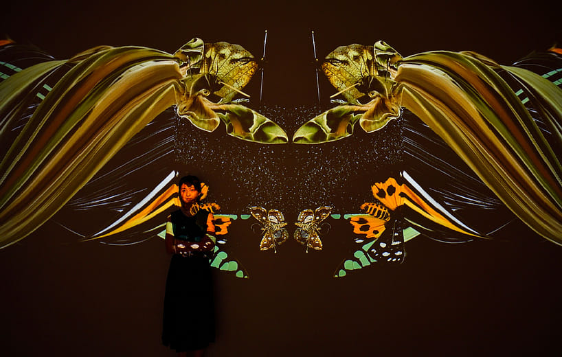 第六章〈共翅之境〉