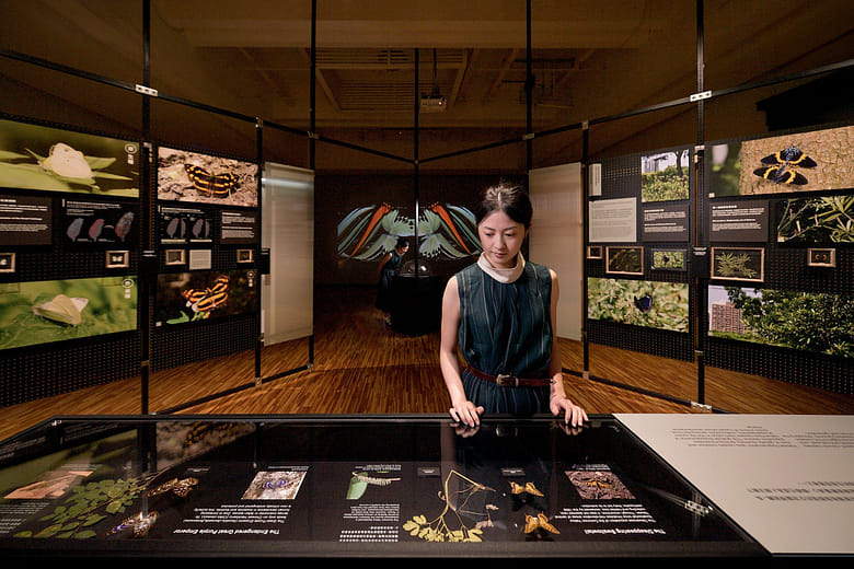 第五章〈飛行危機〉