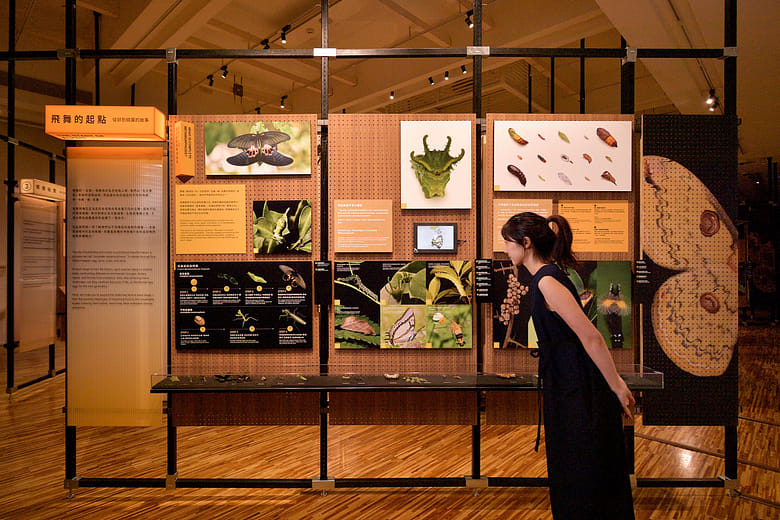 第一章〈飛舞的起點〉