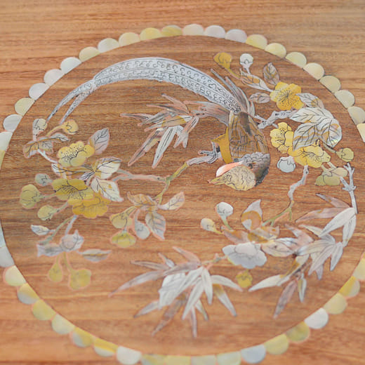 鷴情逸雉 Lophura