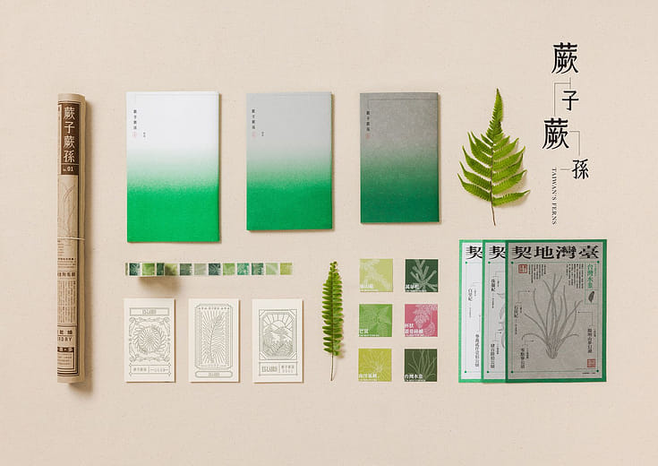 蕨子蕨孫 - Taiwan's Ferns
