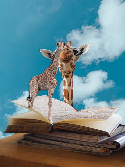 影像處理與電腦繪圖