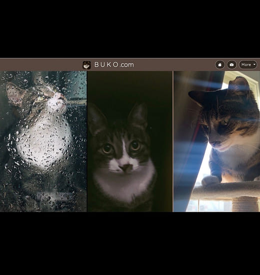 網頁設計｜餔子的生平