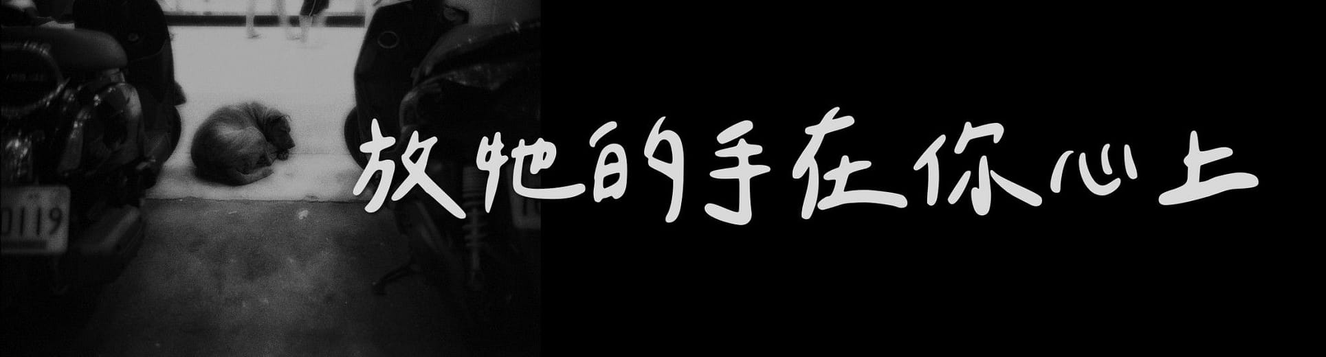 數位內容策展｜放牠的手在你心上