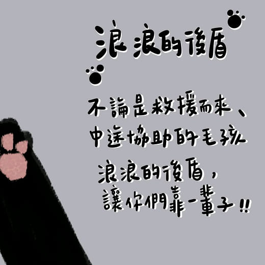 動態圖像設計｜貓中途集資計畫