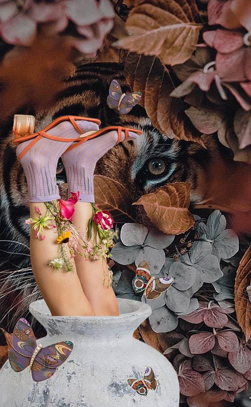 影像處理與電腦繪圖