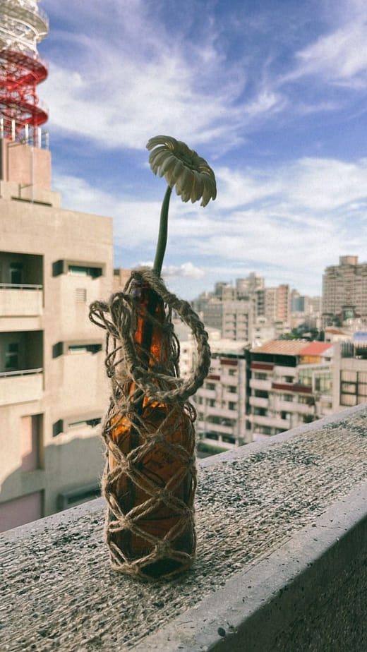 編織與生活美學