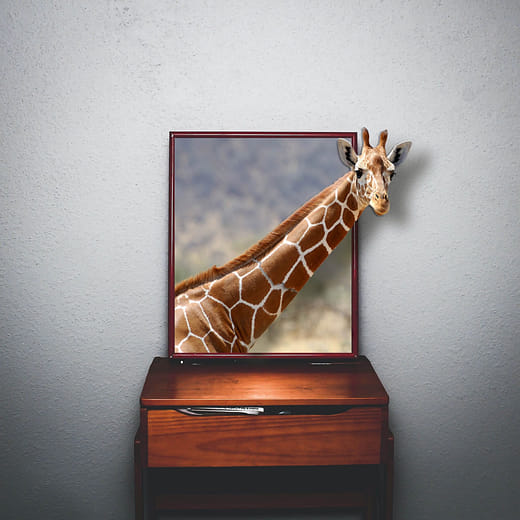 影像處理與電腦繪圖