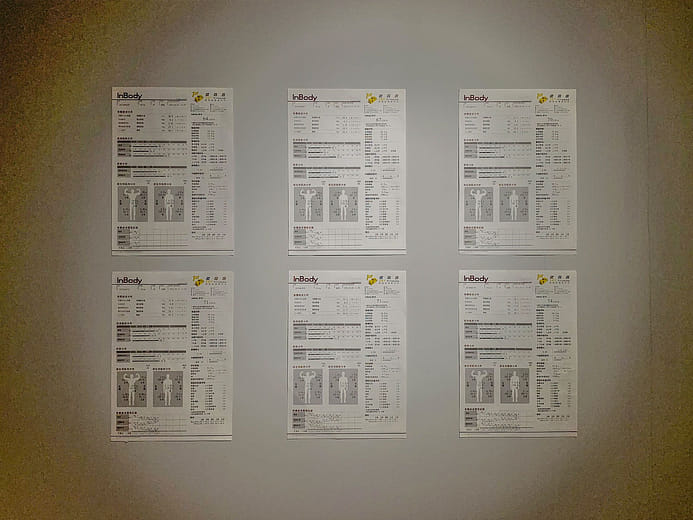 瘦身計劃-身體質量/分析 Plan of losing weight- body mass/ analyze