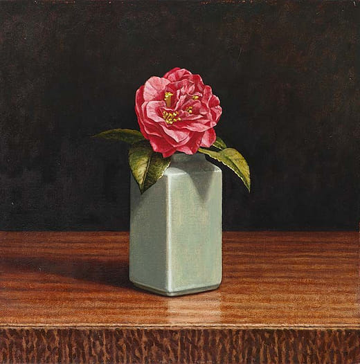 紅茶花 Red Camellia