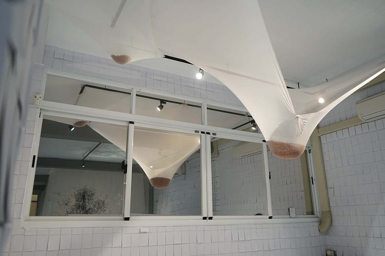 「不只女兒」「Not only daughters」