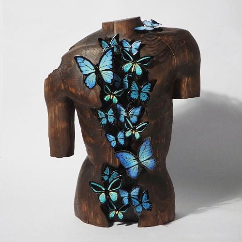 等待被時間捕捉的蝴蝶