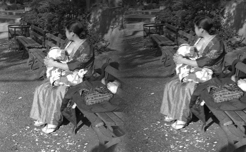 立體攝影術——哺乳