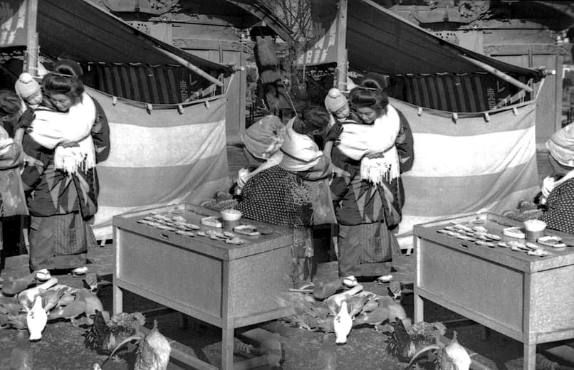 Stereoscopic Photography: Women, Kids, and Chickens