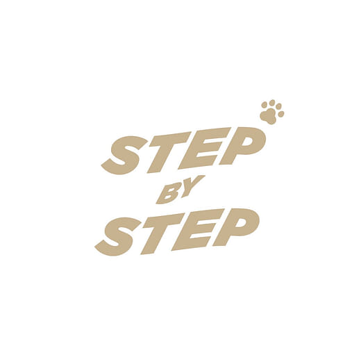 Step By Step 寵物介護輪椅 