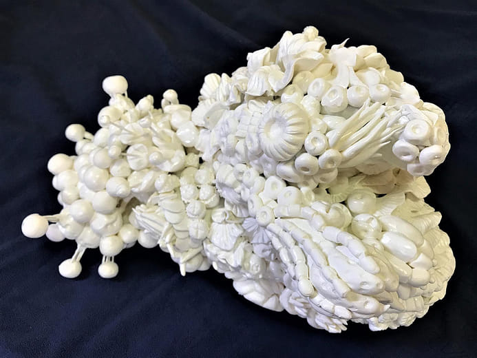 絮語日記 11月12日