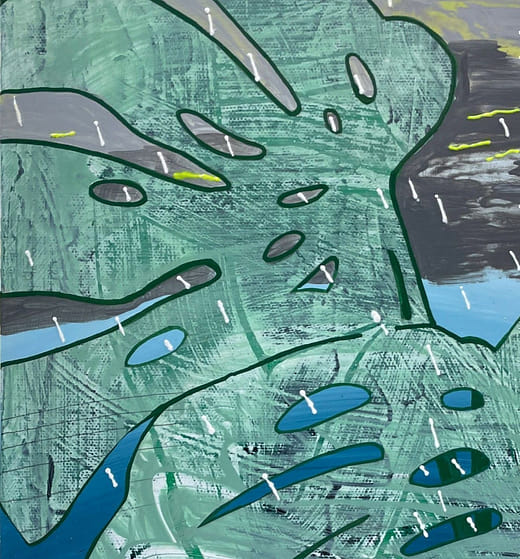 庭院裡的龜背芋