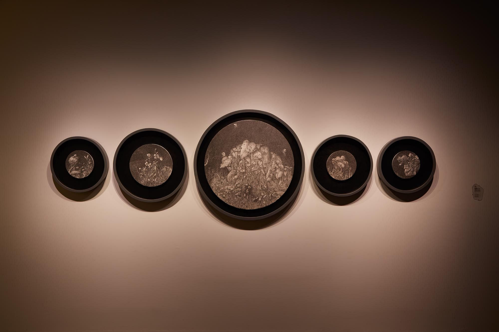 與他們同在-我與物種間的千絲萬縷 Together - The Countless Connections Between Me and the Species