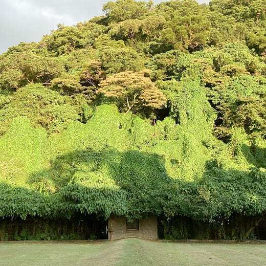 路的盡頭有座山 Mountain Behind the City