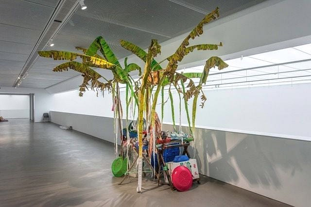 バショウ木の下にある魚屋