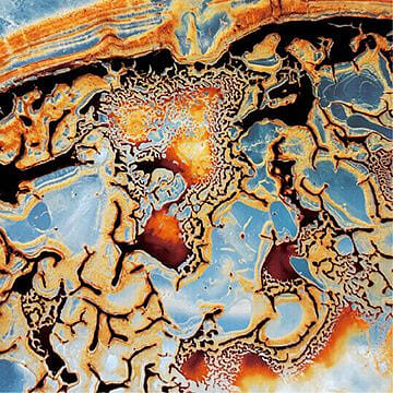 離開的我們留下