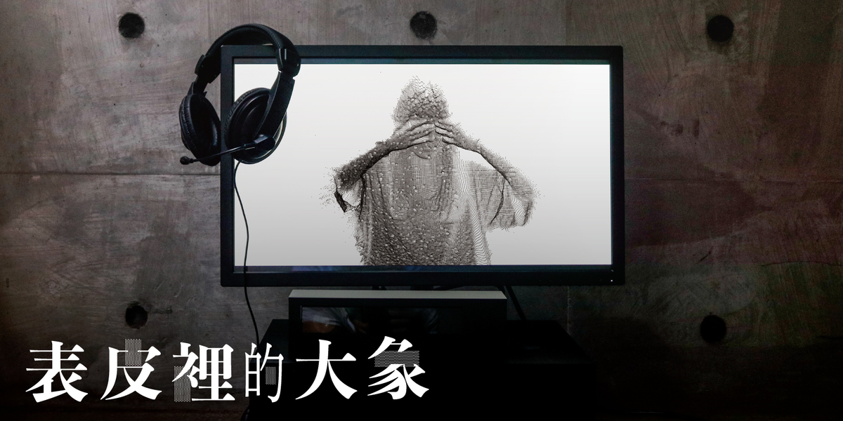 表皮裡的大象