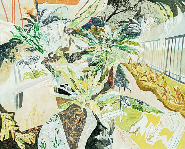 蕨對領域 A Ferny Place