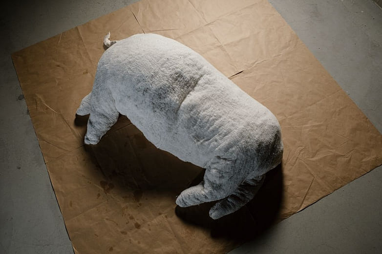 睡 low : 睡豬  Sleep low-Sleepig