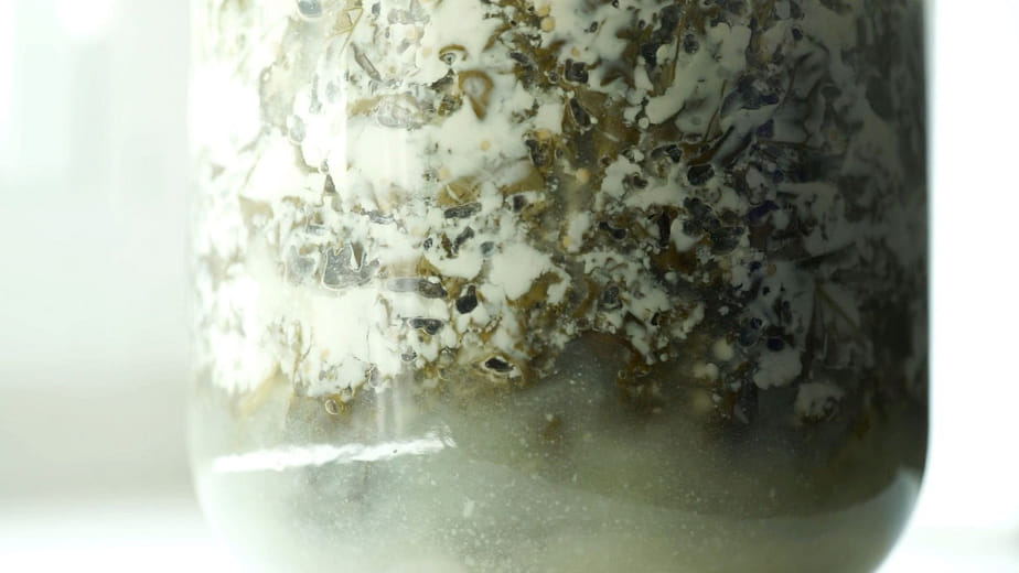 《親愛的罐子》