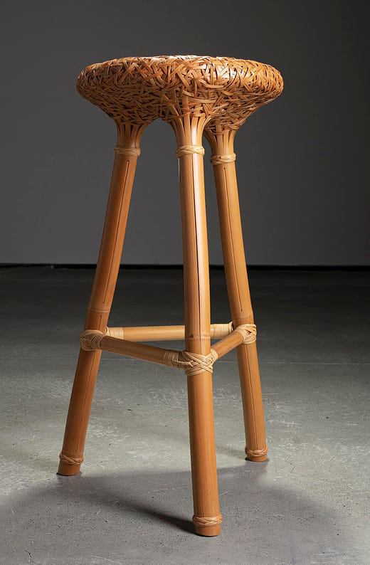 歇（生命演化） Rest (Evolution of life)