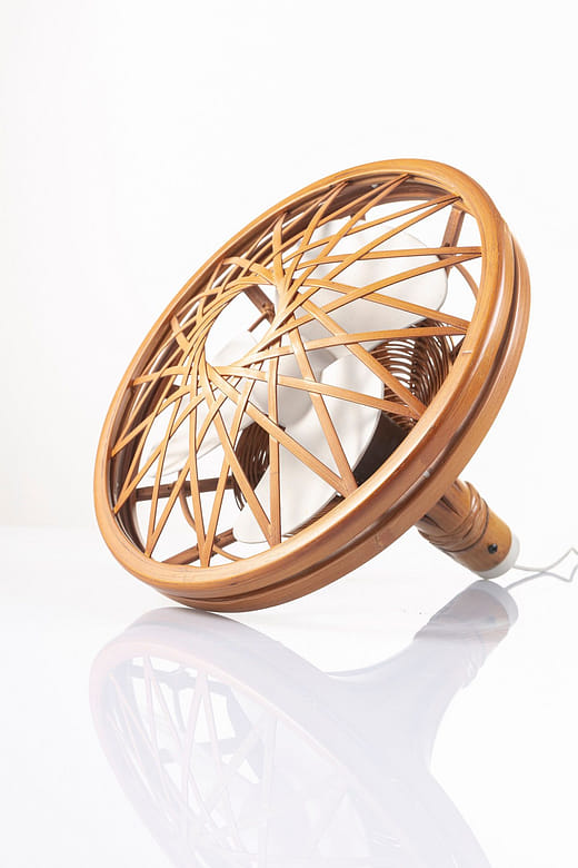 自然回憶 Natural Memory